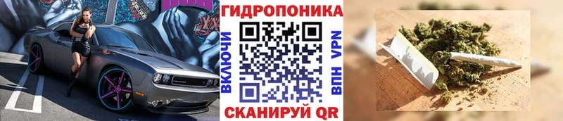 Конопля Amnesia  Ногинск 
